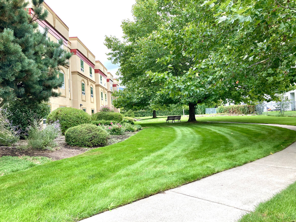 The gardens at VRS Communities聮 Orchard Park in 91大黄鸭.