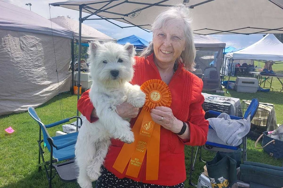 29201269_web1_220526-KCN-dogshow-pic_1