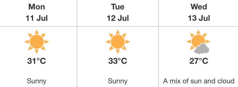 salmon arm