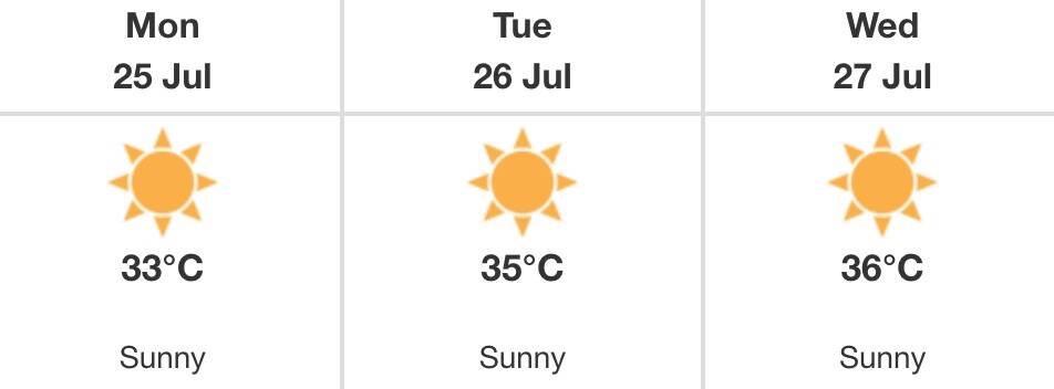 salmon arm