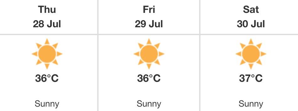 salmon arm