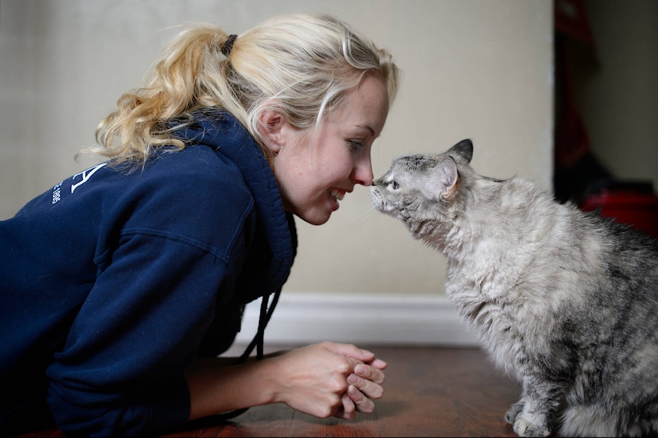 “During the summer we always have a huge influx of kittens needing homes, but this year we have so many other animals awaiting their forever homes, as well,” BC SPCA communications manager Lori Chortyk says. (BC SPCA handout photo)