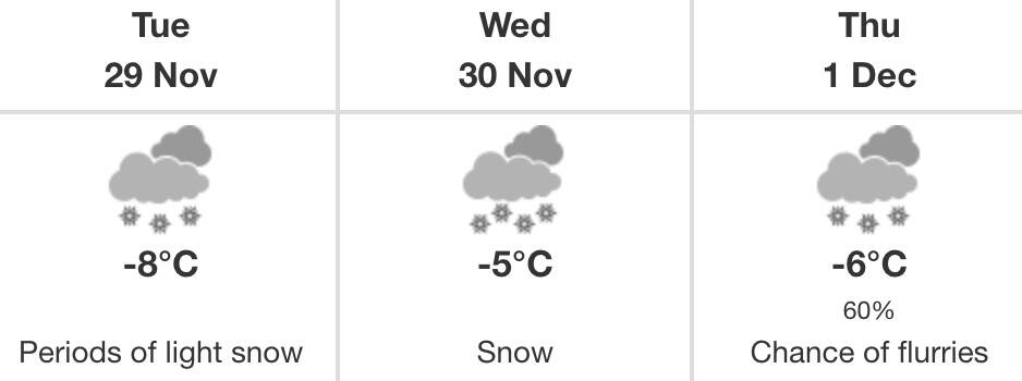 salmon arm