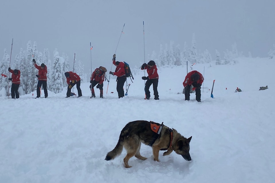 31693923_web1_230125-SAA-shuswap-SAR-avalanche-training-snow_1