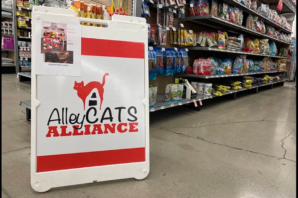 Alleycats Alliance volunteers will be at PetSmart on Banks Road on Saturday and Sunday, March 11 and 12 from 11 a.m. to 2 p.m. each day. (Jordy Cunningham/Capital News)