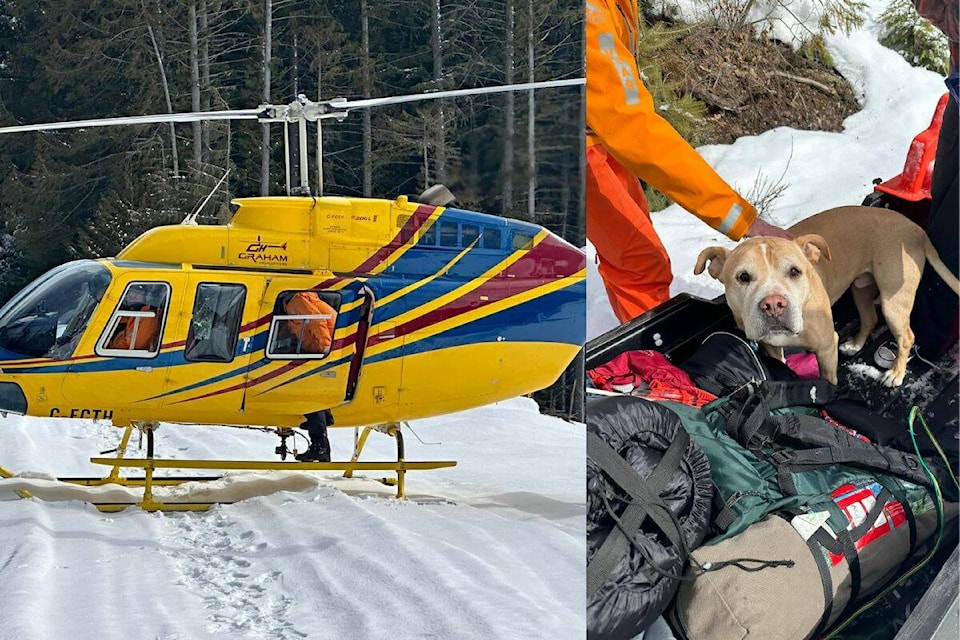The VSAR helicopter, and the furry canine that was rescued. (VSAR photo)