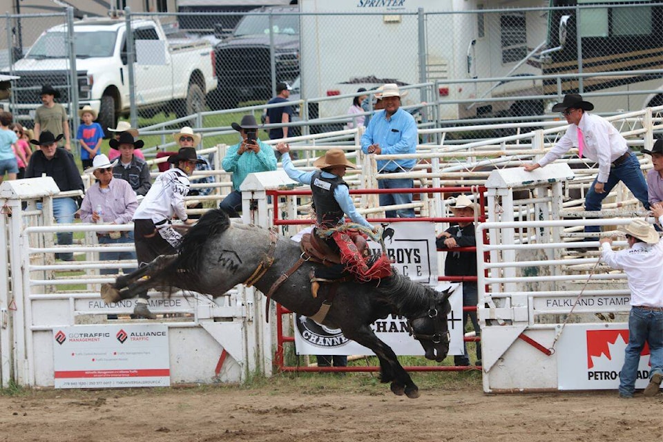 A competitor gets bucked during the bull riding at the Falkland Stampede on Sunday, May 21. (Bowen Assman-Morning Star Photo)