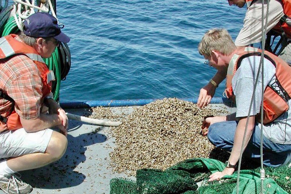 33003235_web1_2gr-quagga-mussels-1_ne2019122921417295