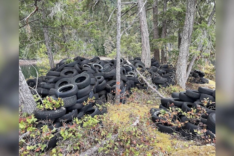 33110736_web1_230623-BPD-BC-tire-pollution-initiatives_1