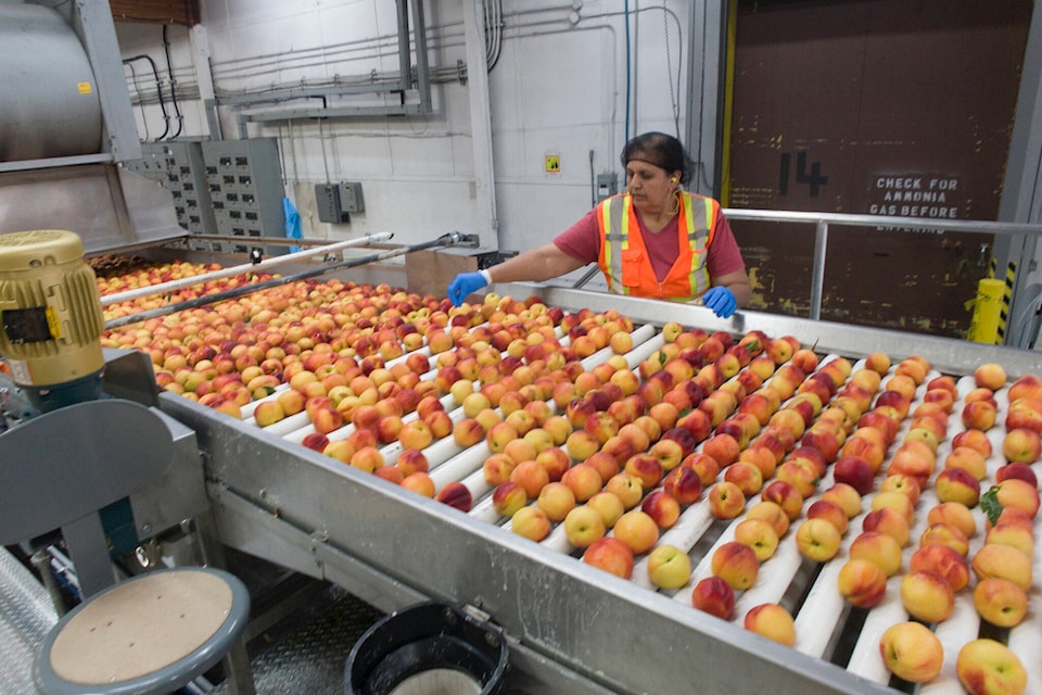 33237148_web1_180803-PWN-BC-Tree-Fruits