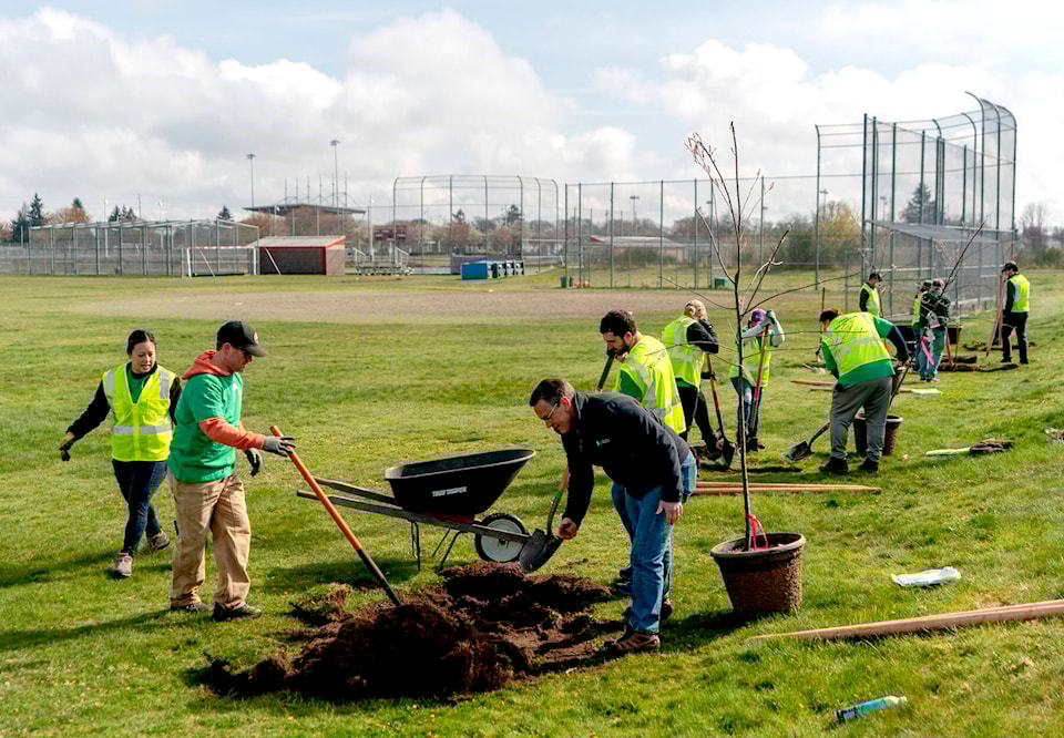 33389705_web1_Color_Urban-tree-plantings