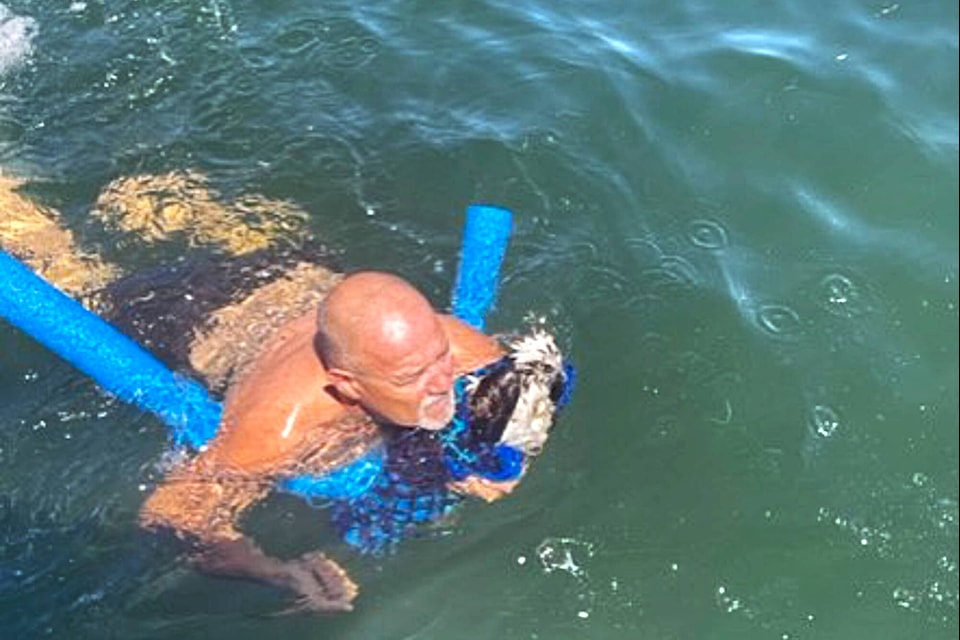 Ed Parent makes his way back to his boat with the towel-wrapped injured osprey nestled in one arm on Sunday, July 23, 2023. (Natalie Parent photo)