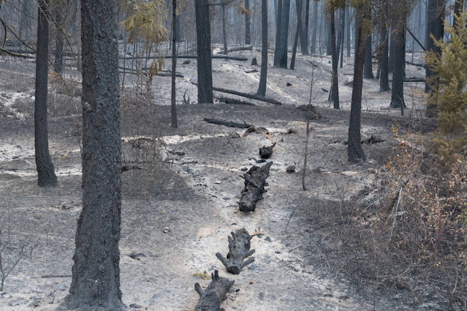 33804746_web1_230905-SAA-bush-creek-downgrades