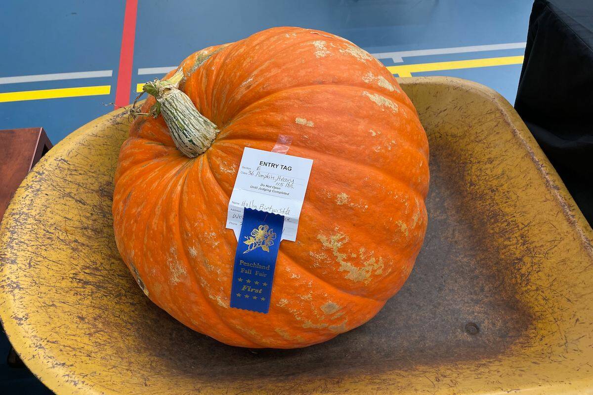 33850838_web1_230914-KCN-peachland-fall-fair-_5