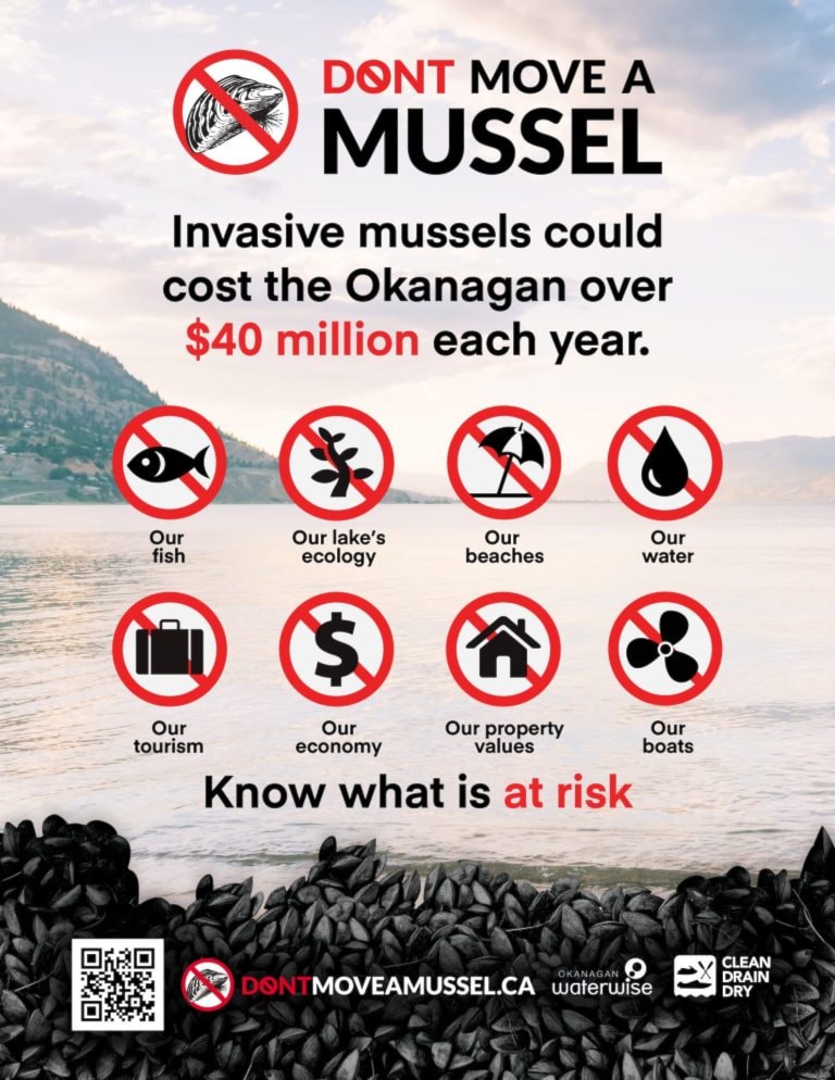 risks_poster-768x994