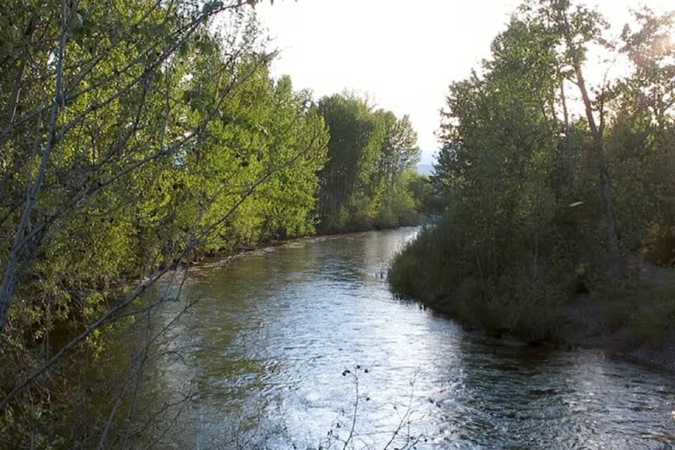 web1_170504_kcn_creek