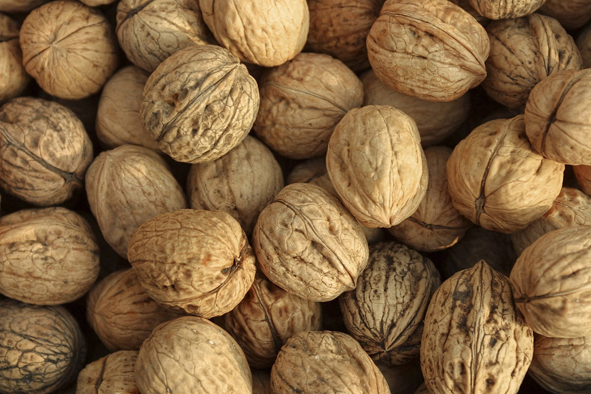 walnut shell wholesalers