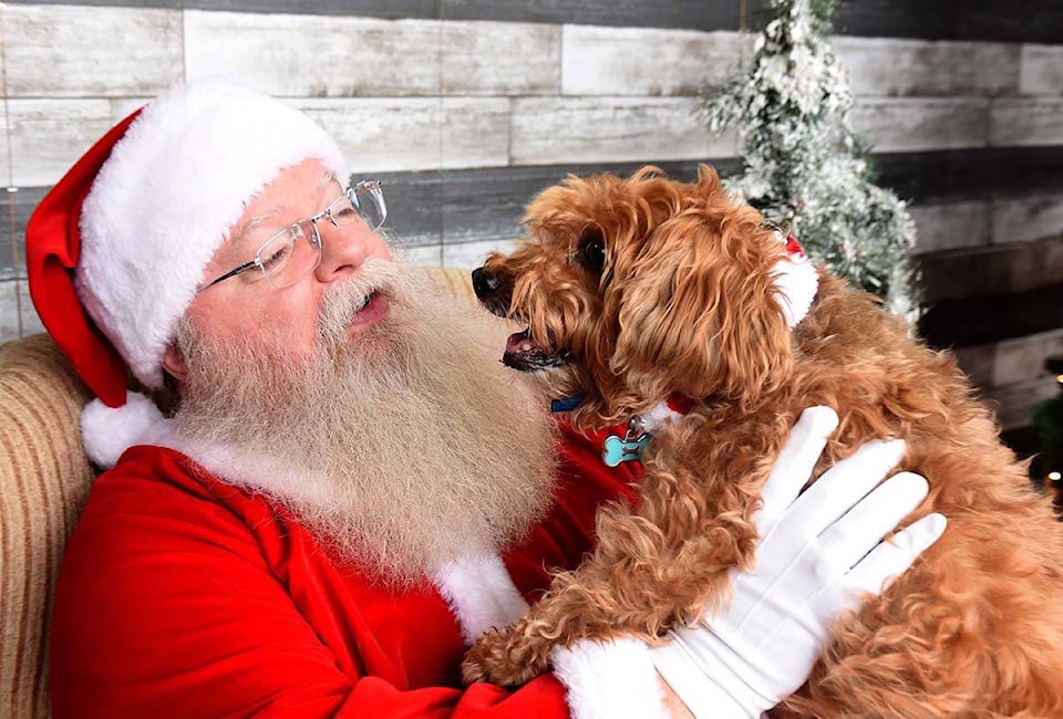 14641081_web1_181128-ABB-Pet-pictures-with-Santa_2