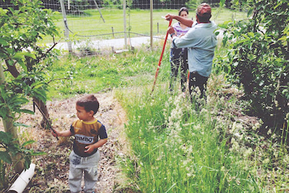 15754188_web1_190301-VMS-migrant-workers_2