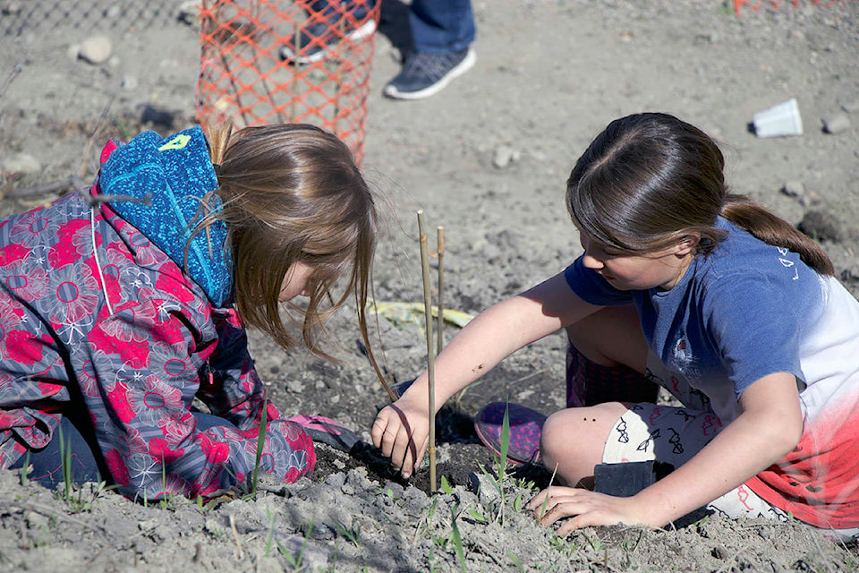 Okanagan Landing Elementary students Olivia Huss and Kailei Yip aid in hillside restoration. (Brieanna Charlebois - Morning Star)