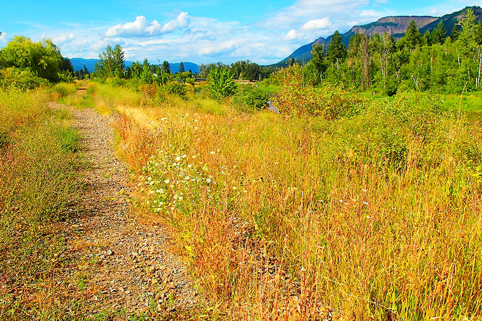 17441594_web1_copy_190626-SAA-Rail-Trail