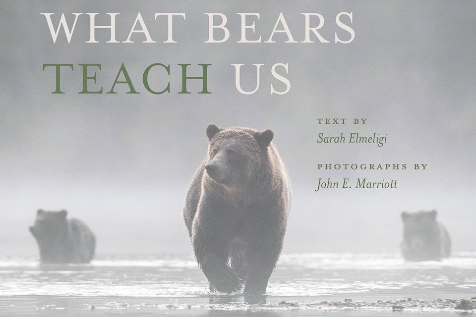 23510143_web1_201202-SAA-John-Marriott-bears-book_1