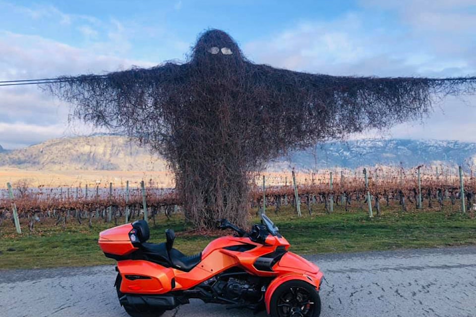 This is the Protector, Tree Spirit or Guardian of the Vines that greets visitors to Osoyoos just off Highway 97. An Osoyoos mom has created a clothing line with a Tshirt celebrating this popular landmark. (Karen Pukanski Facebook photo)