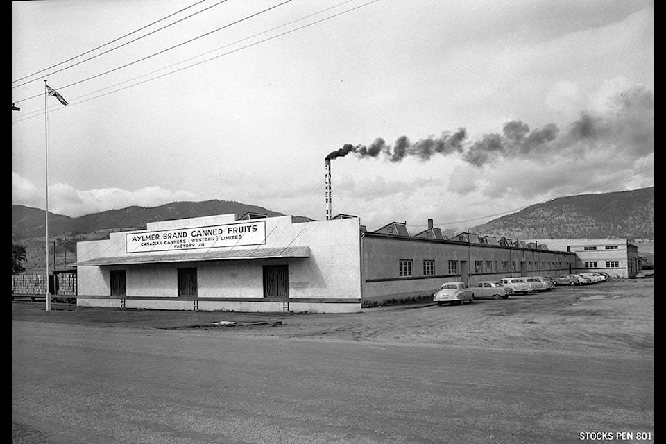The Aylmer Cannery in 1948 at 1475 Fairview Road was the main fruit canning factory in Penticton from the 1930s to the 1980s when the canning factory was shut down. Now it’s home to dozens of businesses including a remodelled Tin Whistle Brewery, The Nest restaurant, shoe repair, CFUZ Radio, 4th Meridian Auctions and more. The canning machinery is still on display in the halls of the Cannery. (Picture from Stocks Photography courtesy of Okanagan Archive Trust Society)