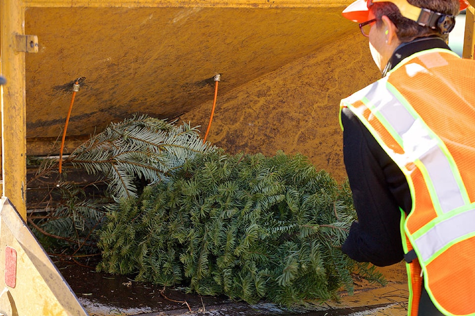 Wood chipping will take place in the West Bench area near Penticton on Oct. 15. (Black Press file photo)