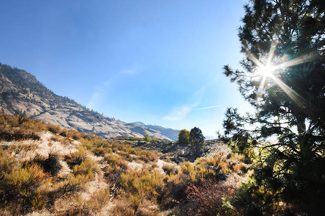 New national park 'closer than it's ever been' in B.C's south Okanagan