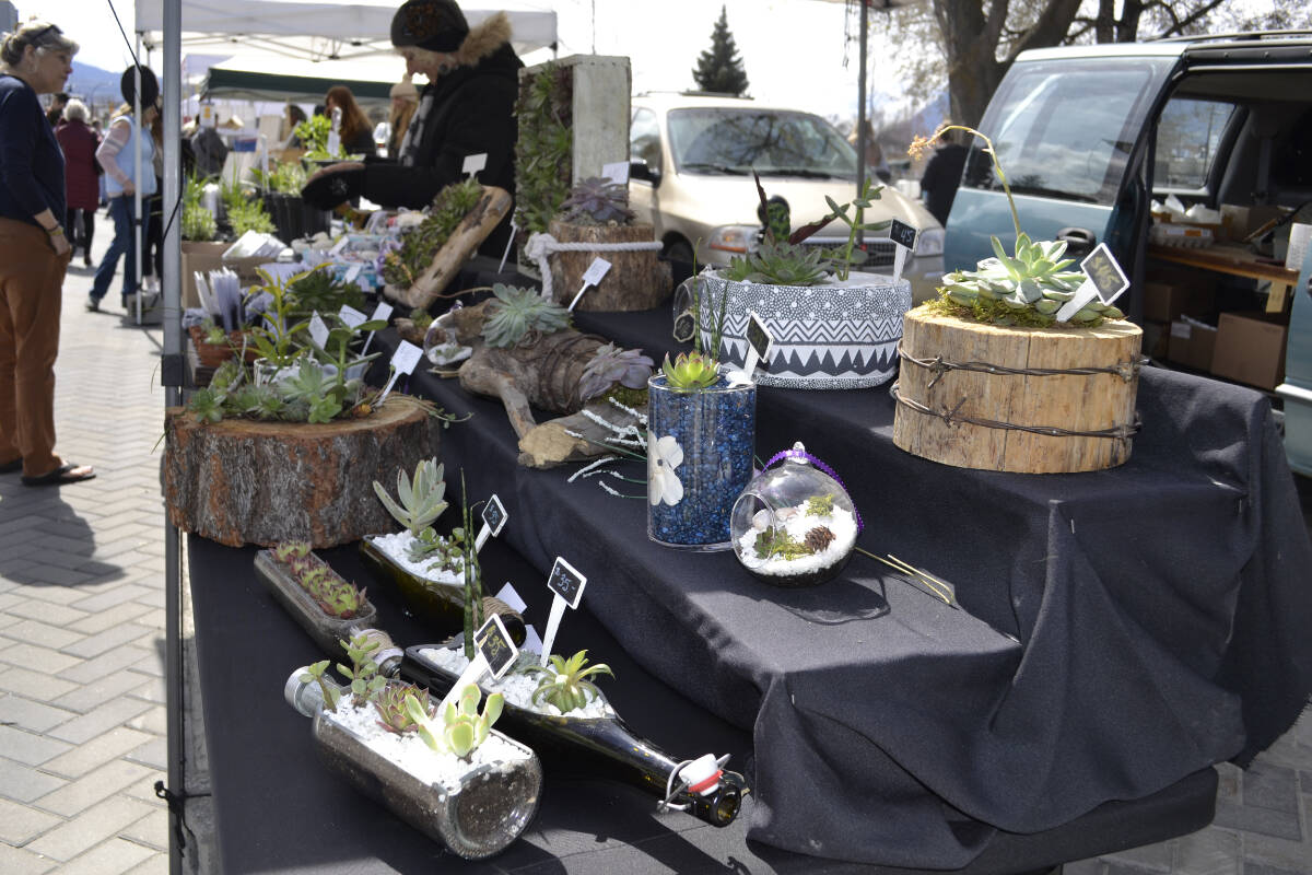 28823188_web1_220420-PWN-FarmersMarketPhotos_5