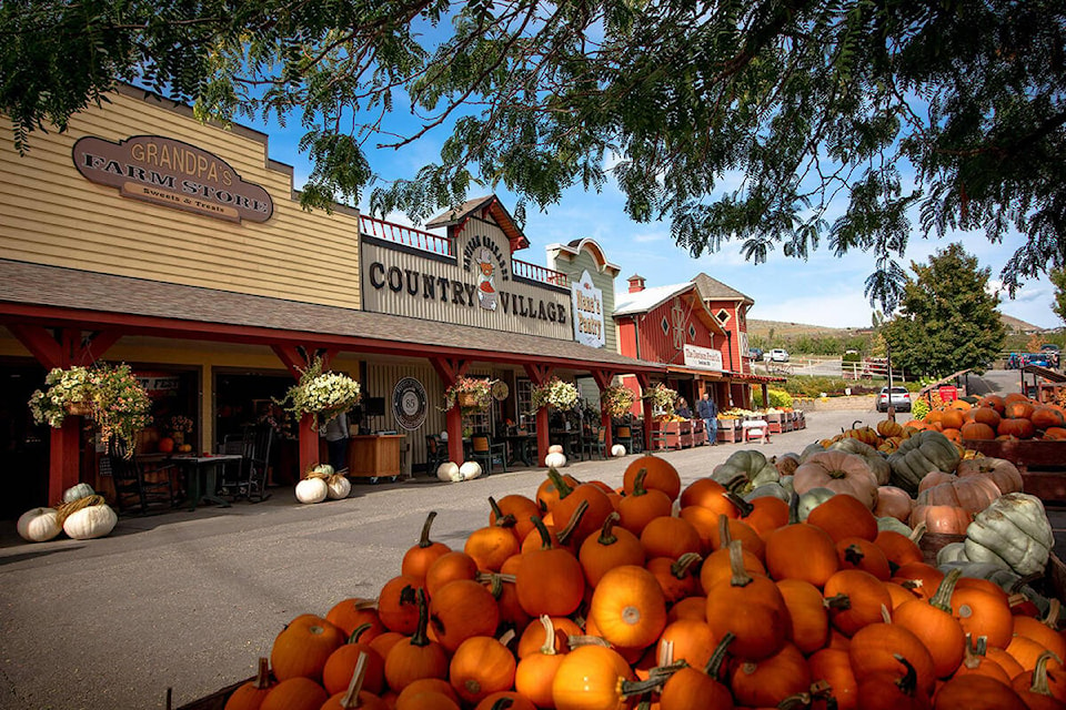 29097714_web1_201029-VMS-pumpkin-fields-DAVISON_1