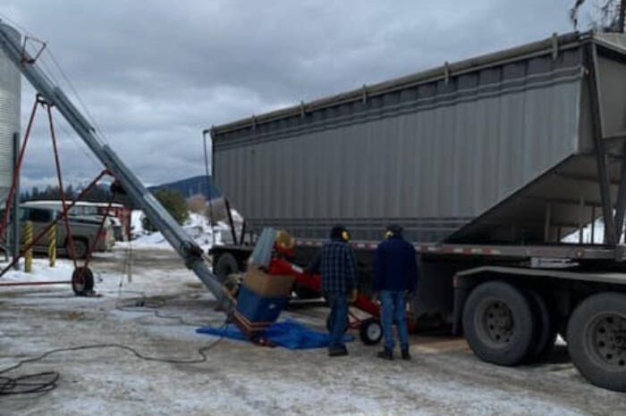 31958646_web1_230302-VMS-Gleaners-peas-1_1