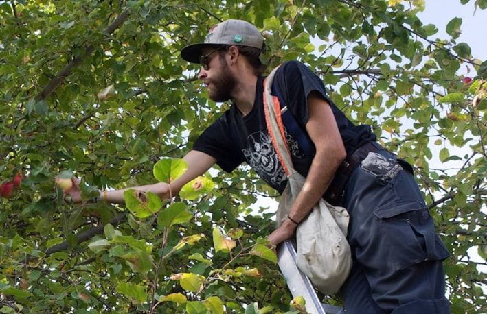 8513957_web1_wildsight-community-garden-066-e1504648909537