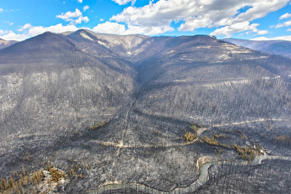 mtmorroburnedarea
