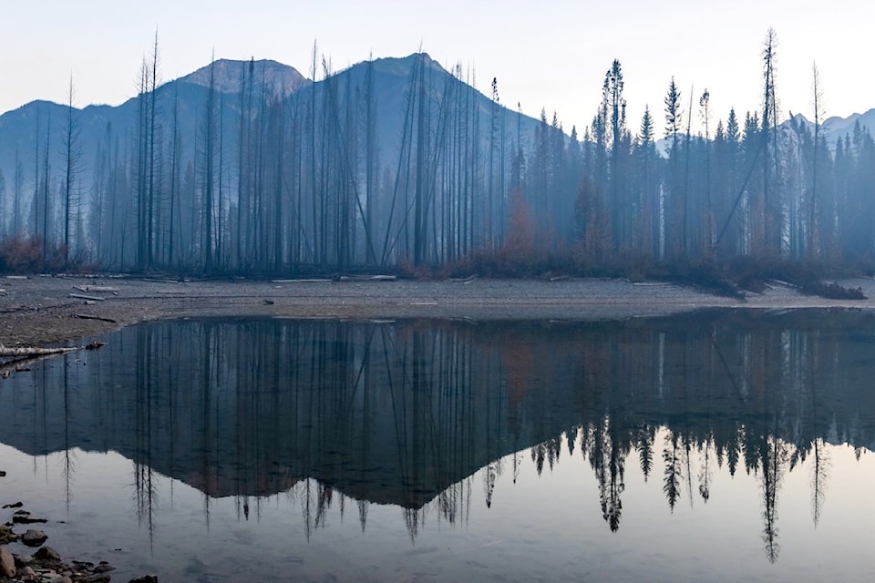 240913-kdb-m-photo-by-tracey-halladay-public-favourite-in-the-lake-impacts-category-of-the-2024-lake-biodiversity-photo-challenge