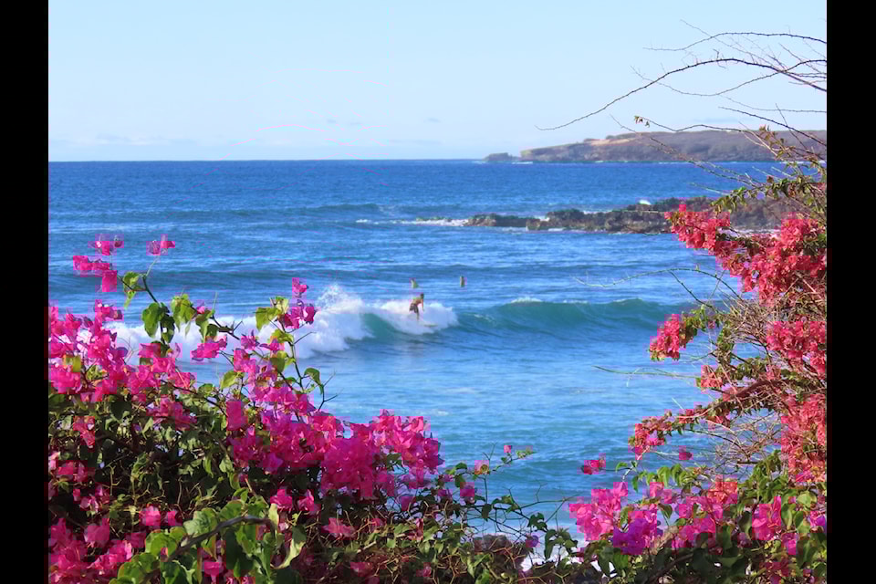 Surf's up at Kepuhi Beach. Gerry Feehan/Submitted.