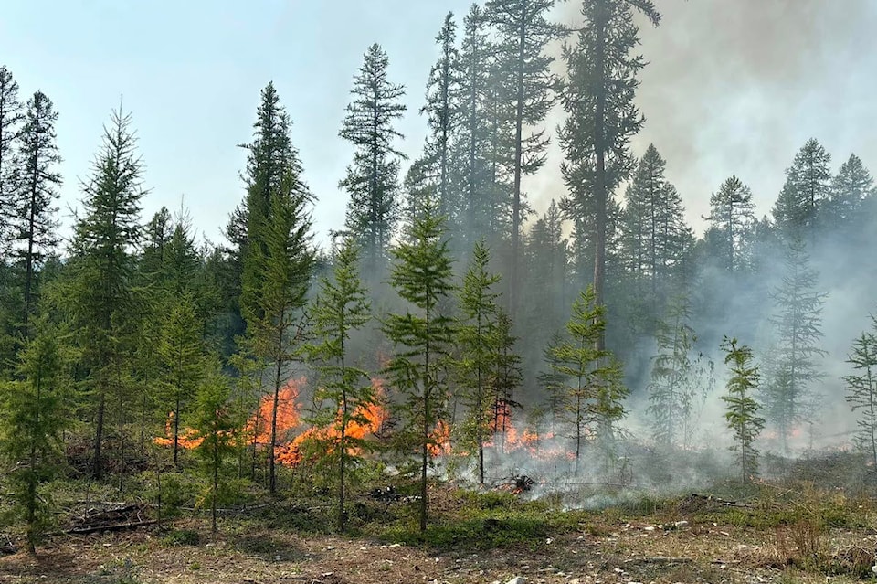 prescribedburn