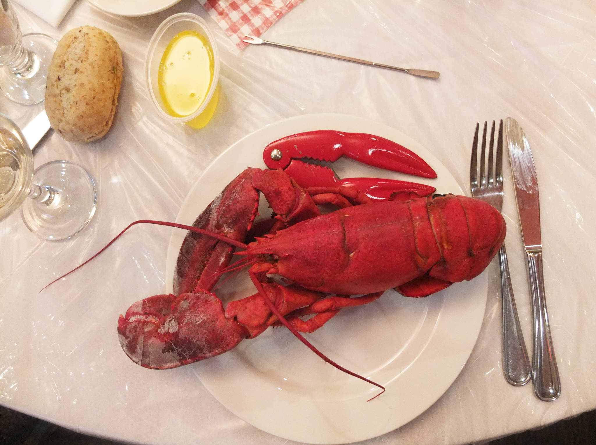 web1_lobsterfest4