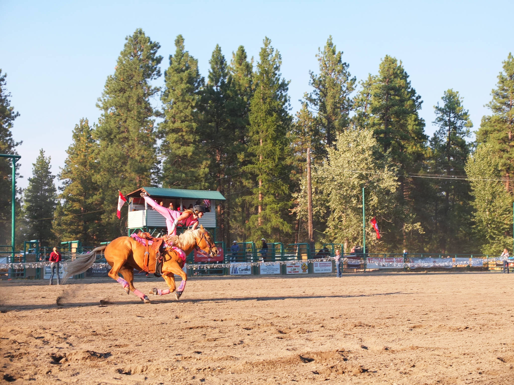8181234_web1_rodeo5