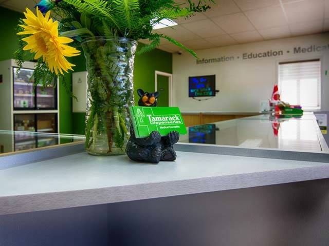 9693326_web1_tamarack-dispensaries-interior