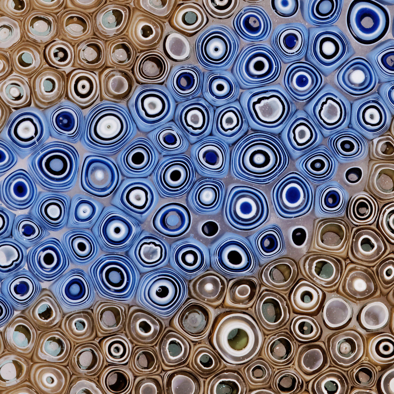 10423028_web1_DSC09320.KRGlass
