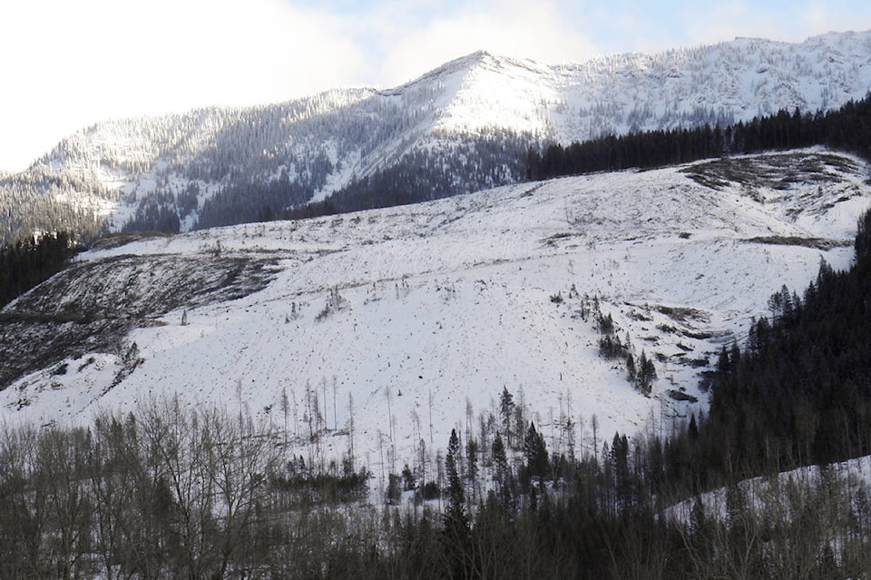 15793317_web1_copy_Canwel-clear-cutting-north-of-Fernie-credit-Eddie-Petryshen-2-web