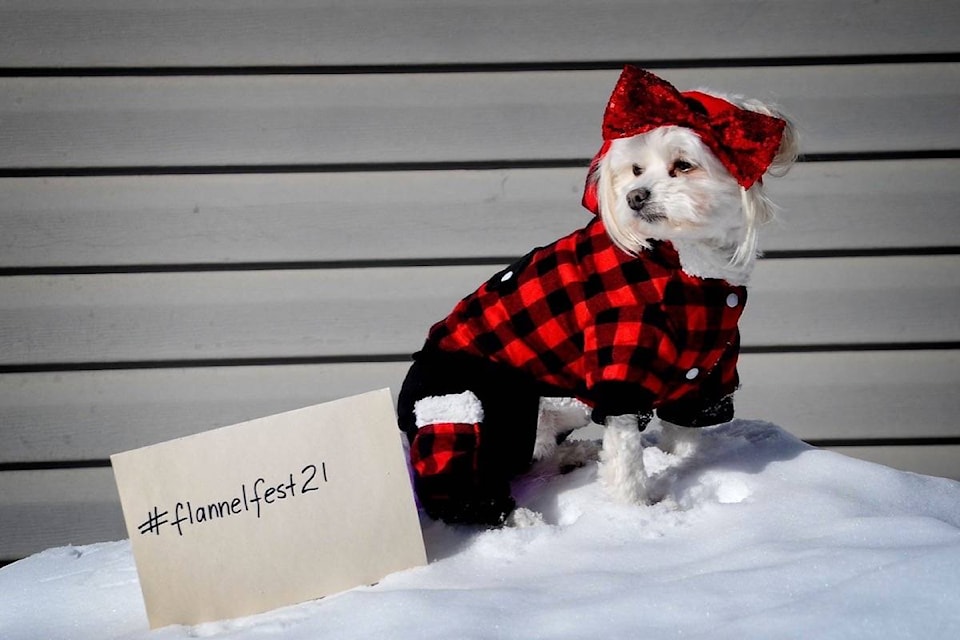 Best Dressed Pet Photo-Donna Newel-Sponsored by Kimberley Kritters Pet Food & Supply