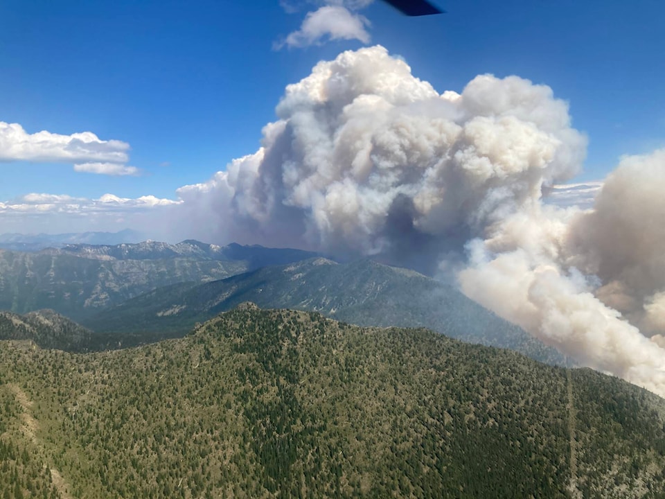 30005402_web1_220806-CDT-BorderWildfire-WeaselCreekWildfire_1