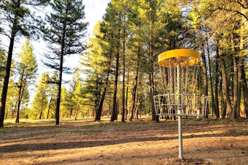 31260472_web1_221213-KDB-CBTGrants-discgolf_1