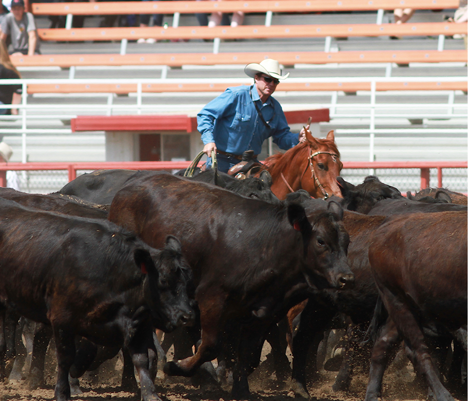 180620-pon-stampede-cattle-raffle_1