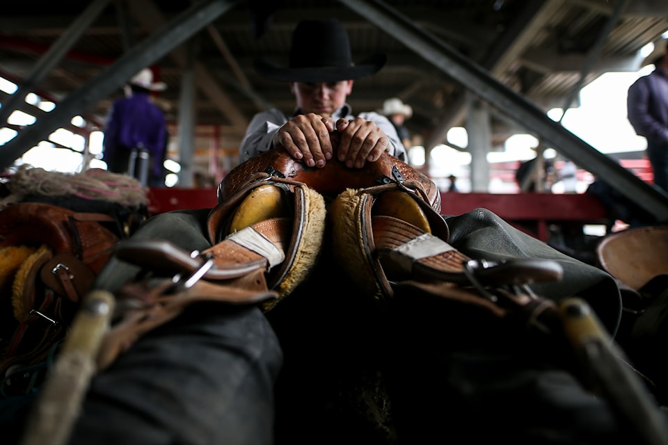 Saddlebronc rider Colten Powell preps for this June 27 ride at Ponoka Stampede June 27. 
(Covy Moore photo)