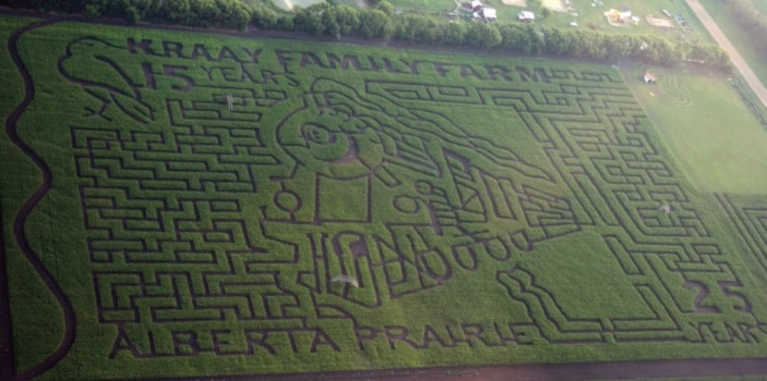 20834lacombeexpressCornMaze090414