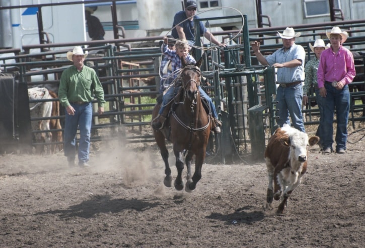 32185lacombeexpressRodeo080813
